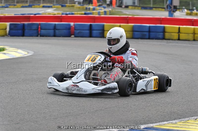 DSC_ (1230).jpg